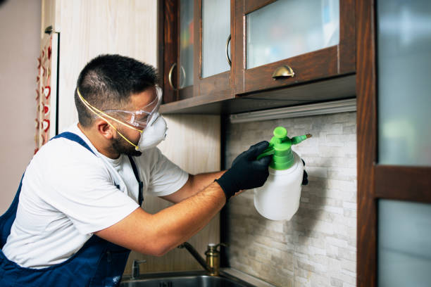 Best Residential Pest Control  in Milan, OH