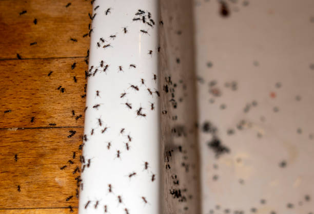 Best Wildlife Control Services  in Milan, OH