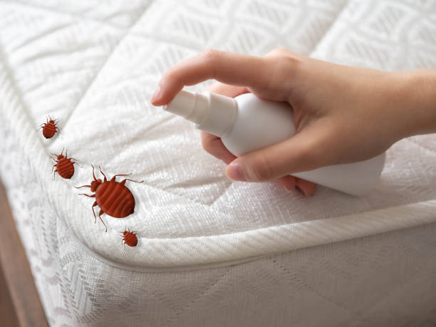 Best Best Pest Control Companies  in Milan, OH