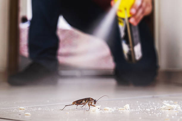 Best Commercial Pest Control Services  in Milan, OH