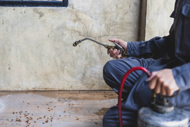 Best Pest Control Treatment  in Milan, OH